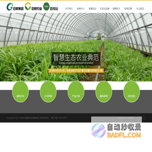 深圳市巨鹏投资发展有限公司