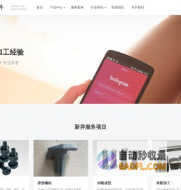 电梯压导板厂家_电梯压导板螺栓_定制异形螺栓- 新异标准件