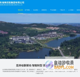 山东潍焦控股集团有限公司