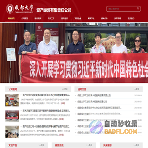 成大资产经营有限责任公司