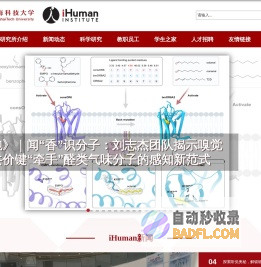 iHuman研究所