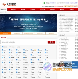 新视野网络