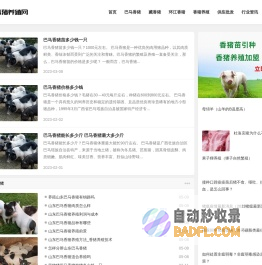 巴马香猪_香猪价格_香猪养殖加盟-91香猪养殖网