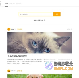 宠玩季 - 宠物生活爱满每一季