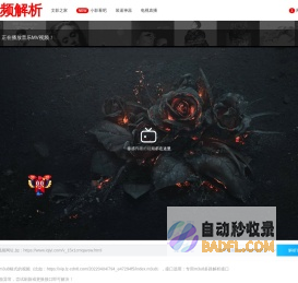 视频解析
