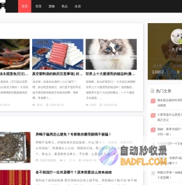 冠旭宠物网