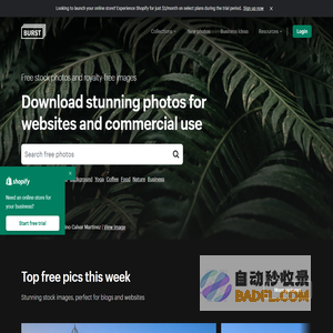 20,000+ Free Stock Photos and Royalty-Free Images
