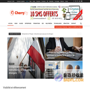 Magazine de Communication Entreprises : Gagner en visibilité sur Internet