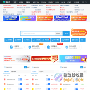 站长工具-百度权重排名查询-站长seo查询 - 爱站网