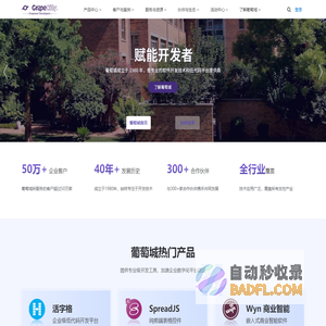 葡萄城官网 - 为开发者提供专业的开发工具、解决方案和服务,赋能开发者