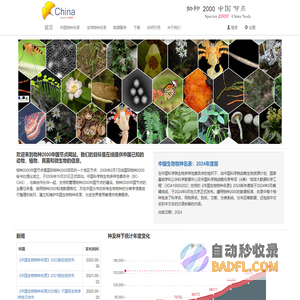 Soul App - 年轻人的社交元宇宙