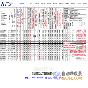 深圳国芯人工智能有限公司