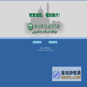 中国伊斯兰教协会