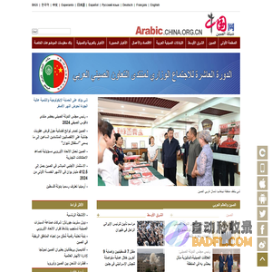 شبكة الصين
